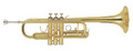 Труба BRAHNER TR-350